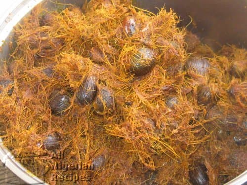 Palm Fruit Pulp