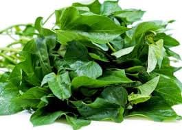 Potato Leaves - Image 1