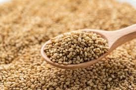 Sesame Seeds - Image 1